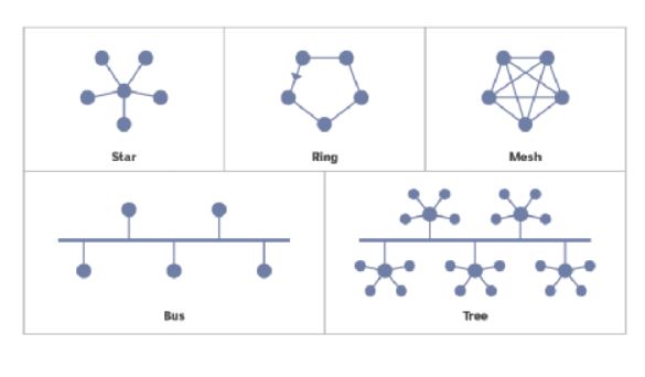 What Is Network Topology? - Definition from SearchNetworking