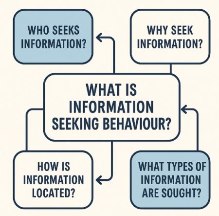 What is Information Seeking Behaviour