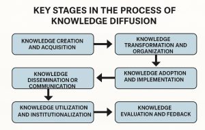 The Key Stages Involved in the Process of Knowledge Diffusion