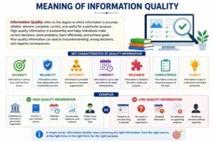 Meaning of Information Quality