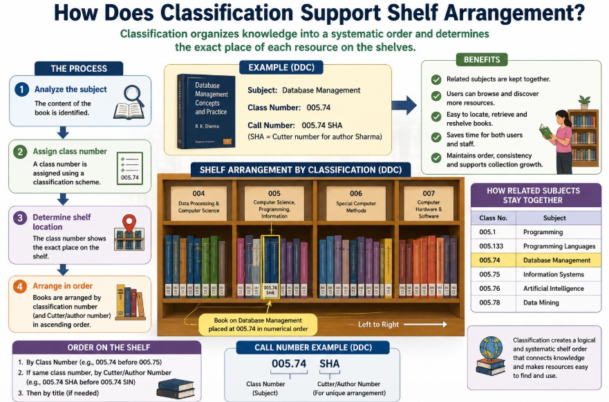 How Does Classification Support Shelf Arrangement